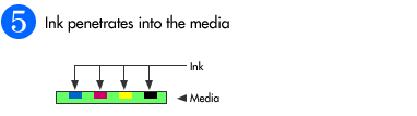 Ink penetrates into the media